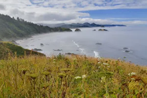 View of Cannon Beach with seastack with rising fog from Ecola State Park View of Cannon Beach with seastack with rising fog from Ecola State Park