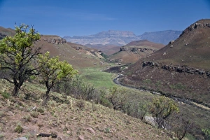 View of Drakensberg Mountains inDrakensberg Royal Natal NP, South Africa View of Drakensberg Mountains inDrakensberg Royal Natal NP, South Africa