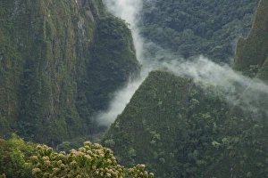 view of forest and mist from Machu Picchu, ruins of Inca city, Peru view of forest and mist from Machu Picchu, ruins of Inca city, Peru