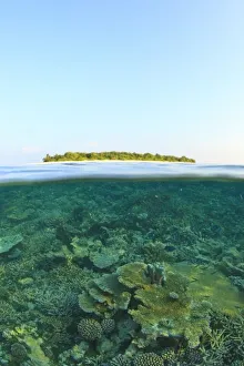 Above & Below View, Havodigalaa Island, South Huvadhoo Atoll, Southern Maldives Above & Below View, Havodigalaa Island, South Huvadhoo Atoll, Southern Maldives