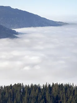 View from Mount Hoernle over a sea of fog hiding the foothills of the Bavarian Alps View from Mount Hoernle over a sea of fog hiding the foothills of the Bavarian Alps