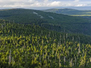 View from the peak of Mt. Lusen in the National Park Bavarian Forest (NP Bayerischer Wald View from the peak of Mt. Lusen in the National Park Bavarian Forest (NP Bayerischer Wald