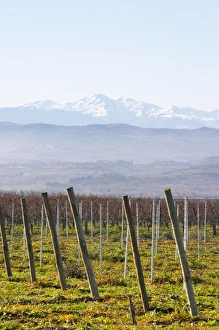 View over the snow capped Pyrenees mountains. Chateau Rives-Blanques. Limoux. Languedoc View over the snow capped Pyrenees mountains. Chateau Rives-Blanques. Limoux. Languedoc