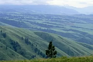 Nez Perce Gallery: A view of White bird Hill in the Nez Perce National Historical Park. Palouse country in North Idaho