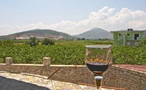 A view from the winery over the vineyard, hills, a house and in the foreground a A view from the winery over the vineyard, hills, a house and in the foreground a