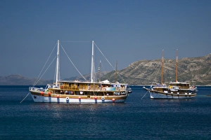 Views around Kolocep Island, one of the Elaphite Islands from Dubrovnik, Southeastern Views around Kolocep Island, one of the Elaphite Islands from Dubrovnik, Southeastern