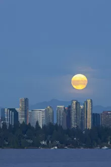Images Dated 30th September 2012: WA, Bellevue, Full moon raising over downtown skyline