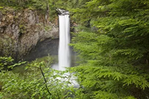 Images Dated 3rd June 2012: WA, Gifford Pinchot National Forest, Big Creek Falls, plunges 125 feet