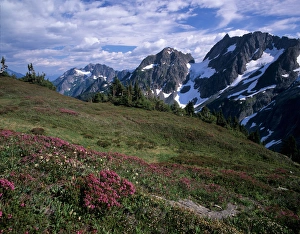 WA, North Cascades National Park, view from Sahale Arm above Cascade Pass WA, North Cascades National Park, view from Sahale Arm above Cascade Pass