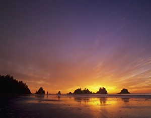 WA, Olympic NP, Shi Shi beach at sunset, Point of the Arches WA, Olympic NP, Shi Shi beach at sunset, Point of the Arches