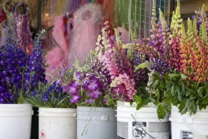 WA, Seattle, flowers for sale, at the Pike Place Market WA, Seattle, flowers for sale, at the Pike Place Market