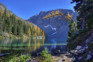 WA, Wenatchee NF; Blue Lake with golden larch trees WA, Wenatchee NF; Blue Lake with golden larch trees