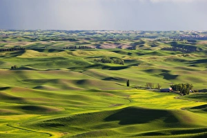 WA, Whitman County; view of farmland from Steptoe Butte WA, Whitman County; view of farmland from Steptoe Butte