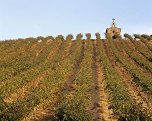WA, Yakima County, Yakima Valley, Red Willow vineyard with stone chapel WA, Yakima County, Yakima Valley, Red Willow vineyard with stone chapel