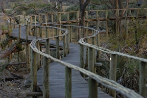 Walkway between tents in Mombo Camp. Mombo Camp. Chiefs Island. Okavango Delta Walkway between tents in Mombo Camp. Mombo Camp. Chiefs Island. Okavango Delta