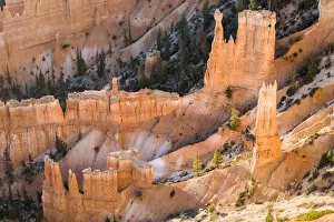 Wall of Hoodoos at Bryce Canyon National Park. Utah. US