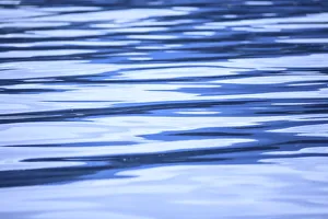 <b class=qtipBold><figcaption>Water reflections</figcaption></b><br><em>© Stuart Westmorland / DanitaDelimont.com</em> Water reflections