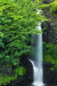 Images Dated 27th October 2013: Waterfall on the Hamakua Coast, Big Island, Hawaii, USA