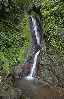 Waterfall in Mistico Hanging Bridges Park, Costa Rica Waterfall in Mistico Hanging Bridges Park, Costa Rica