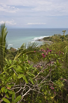 Waves breaking on an isolated beach in the lower Osa Peninsula of Costa Rica amid Waves breaking on an isolated beach in the lower Osa Peninsula of Costa Rica amid
