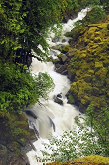 Wells Creek; Mount Baker-Snoqualmie National Forest; Washington; USA Wells Creek; Mount Baker-Snoqualmie National Forest; Washington; USA