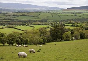 Western Ireland, Dingle Peninsula, broad landscape with a patchwork of green pastures Western Ireland, Dingle Peninsula, broad landscape with a patchwork of green pastures
