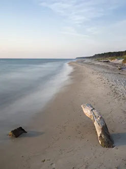 The Weststrand (western beach) on the Darss Peninsula The Weststrand (western beach) on the Darss Peninsula