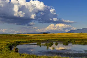 Wetlands pond in the Flathead Valley, Montana, USA Wetlands pond in the Flathead Valley, Montana, USA