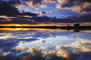 Environmental Impact Gallery: Wetlands at sunrise, Bosque del Apache National Wildlife Refuge, New Mexico