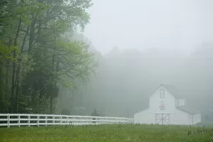 Powhatan Gallery: White farmhouse and fence in mist, Powhatan, Virginia, United States