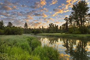 The Whitefish River with nice sunrise clouds reflectng in Whitefish, Montana, USA The Whitefish River with nice sunrise clouds reflectng in Whitefish, Montana, USA