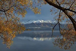 Willow tree and Buchanan Peaks reflected in Lake Wanaka, Otago, South Island, New Zealand Willow tree and Buchanan Peaks reflected in Lake Wanaka, Otago, South Island, New Zealand