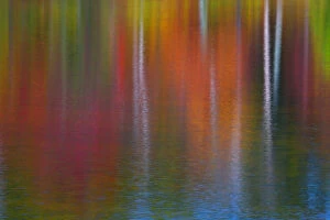 Images Dated 7th October 2007: As the wind blew the surface of the water, the reflections became quite abstract
