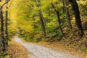 Wind blurs the fall colors along Kelly Stand Road in southern Vermont. Green Mountain Wind blurs the fall colors along Kelly Stand Road in southern Vermont. Green Mountain