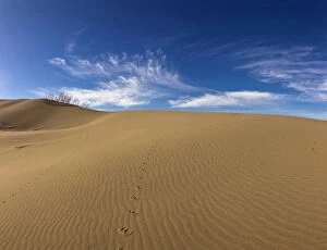Wind ripples sand dunes at Bruneau Dunes, State Park. ID. Panoramic Image
