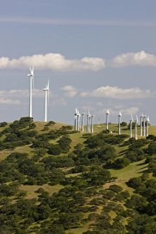 Wind turbines above a California Oak forest in the hills of California Wind turbines above a California Oak forest in the hills of California