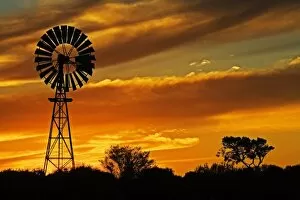 Windy Collection: Windmill and Sunset, William Creek, Oodnadatta Track, Outback, South Australia, Australia