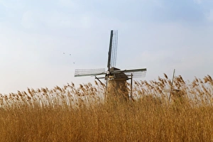 Windmills along the canal in Kinderdijk, Netherlands Windmills along the canal in Kinderdijk, Netherlands