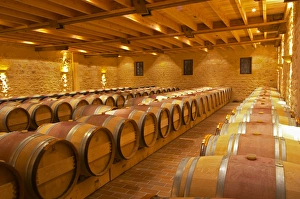 in the wine cellar: Barriques barrels - Chateau Grand Mayne, Saint Emilion, Bordeaux in the wine cellar: Barriques barrels - Chateau Grand Mayne, Saint Emilion, Bordeaux
