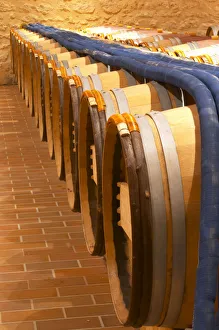 in the wine cellar: Barriques barrels and pipes to pump the wine - Chateau Grand Mayne in the wine cellar: Barriques barrels and pipes to pump the wine - Chateau Grand Mayne