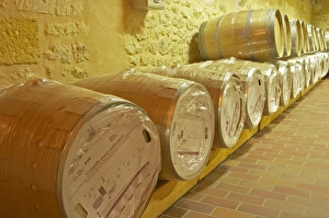 in the wine cellar: new Barriques barrels in their original packaging - Chateau Grand in the wine cellar: new Barriques barrels in their original packaging - Chateau Grand