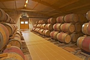 In the wine cellar, rows and stacks of new oak barrels with ageing wine Chateau Bouscaut In the wine cellar, rows and stacks of new oak barrels with ageing wine Chateau Bouscaut