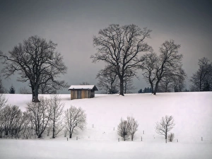 Winter scene, hill and trees, hut and forboding sky Winter scene, hill and trees, hut and forboding sky