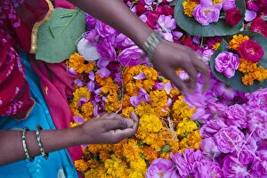 Images Dated 3rd November 2006: Woman selling flower, Pushkar, Rajasthan, India