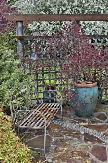 Wooden screen, bench and potted smoke bush with deer proof shrubs and trees, Sammamish Wooden screen, bench and potted smoke bush with deer proof shrubs and trees, Sammamish