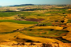 Yellow Green Wheat Fields Roads and Red Farms from Steptoe Butte at Palouse Washington Yellow Green Wheat Fields Roads and Red Farms from Steptoe Butte at Palouse Washington