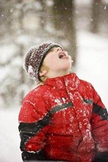 A young boy catches snowflakes with his mouth during a snowstorm in Portsmouth, New Hampshire A young boy catches snowflakes with his mouth during a snowstorm in Portsmouth, New Hampshire