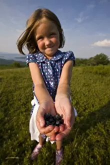 A young girl showing off the blueberries she picked on a hilltop in Alton, New Hampshire