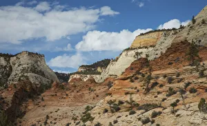 Zion National Park Gallery: Zion National Park