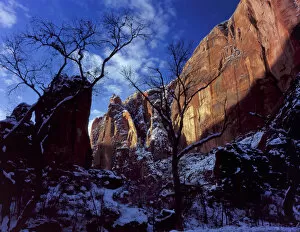 Zion National Park Gallery: Zion National Park, Utah. USA. Morning light on cliffs at Temple of Siniwava in winter
